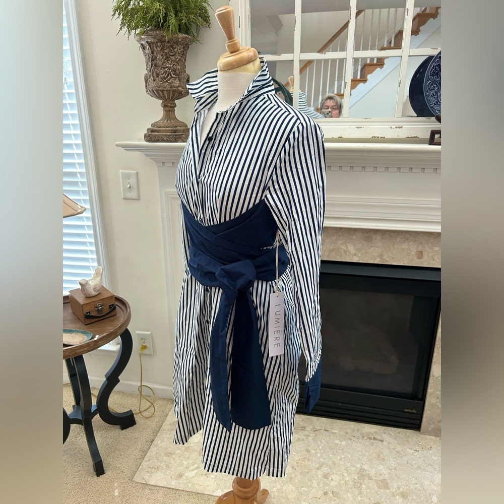NWT Lumiere Striped Navy and White Cotton Shirt Dress - Picture 4 of 12